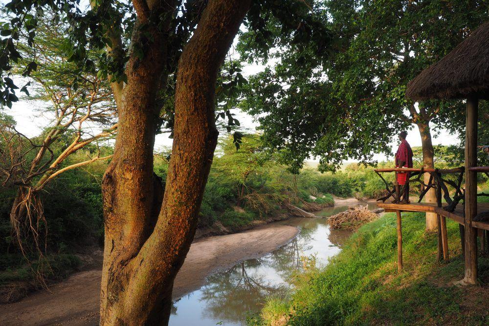 Basecamp Masai Mara Riverview Family Tent Basecamp Explorer