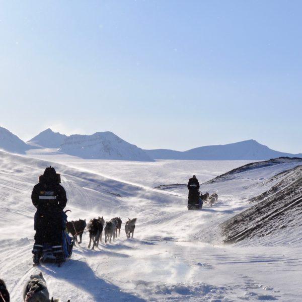 Når er det best å reise til Svalbard? | Longyearbyen | Svalbard | Norge